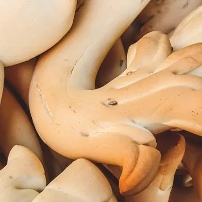 Biscotti di Natale di Barrafranca