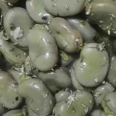 Favi liezzi di Buccheri