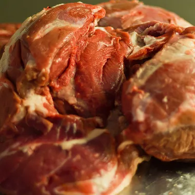 La carne di agnello