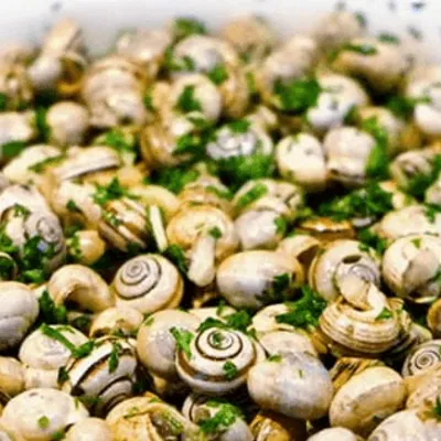 Lumache con pesto e menta