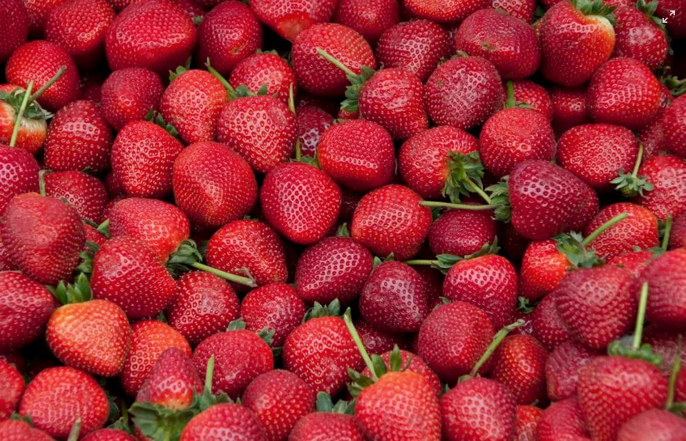 Marmellata di fragole
