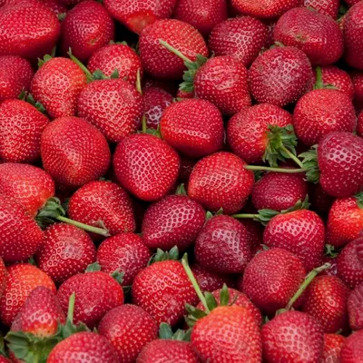 Marmellata di fragole