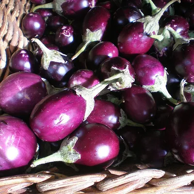 Melanzane