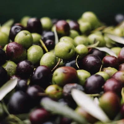 Olive