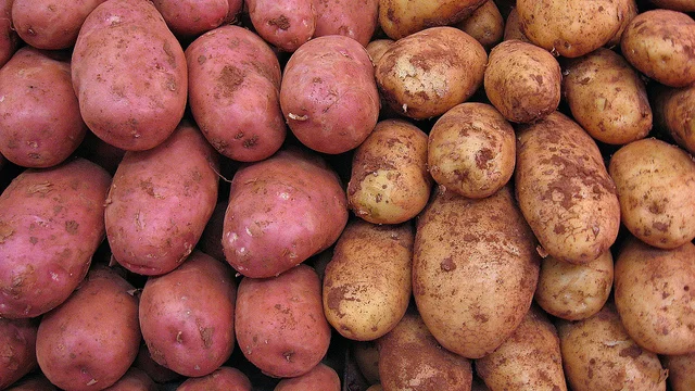 Patate