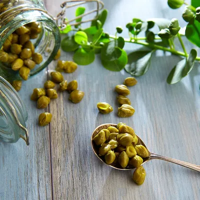 Paté di capperi di Pantelleria