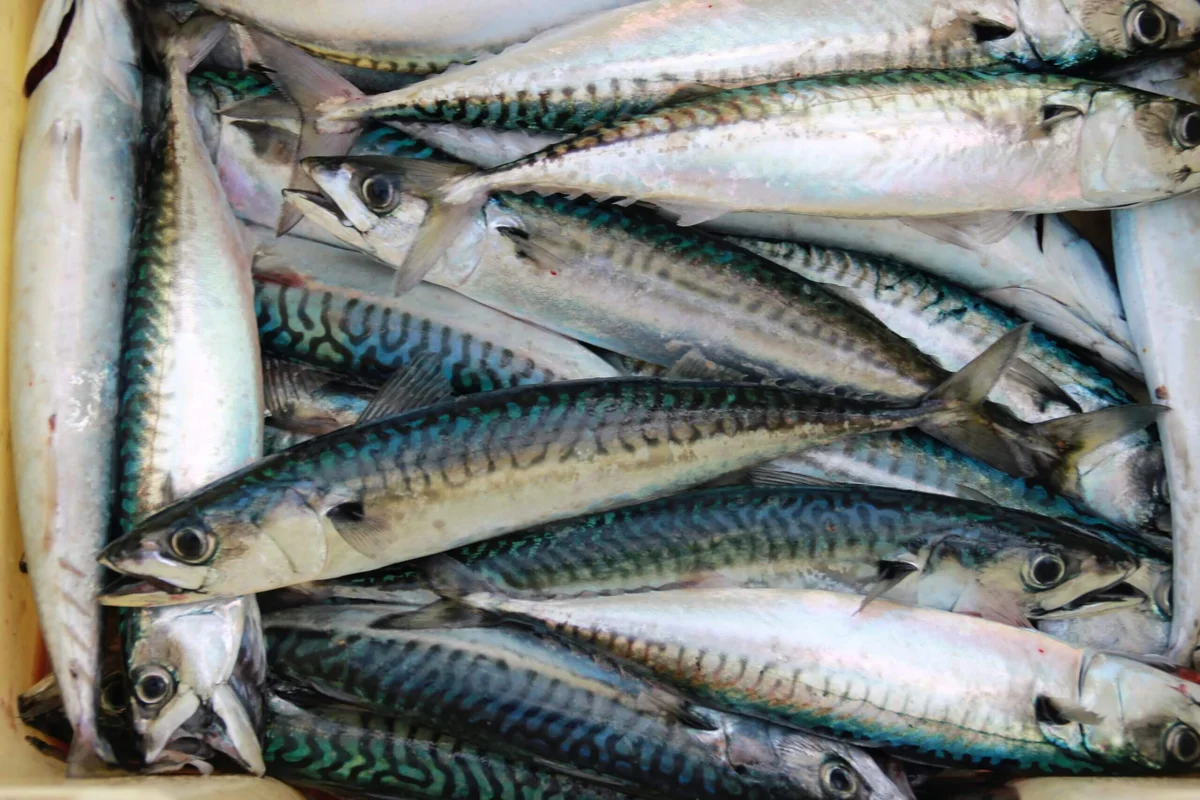 Pesce in agrodolce alla siciliana