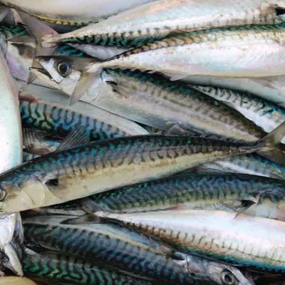 Pesce in agrodolce alla siciliana