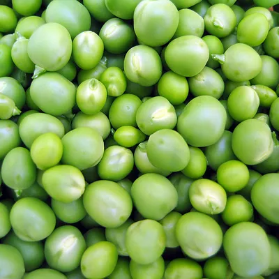 Piselli