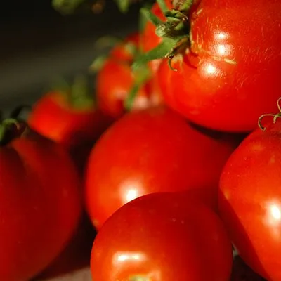 Pomodori