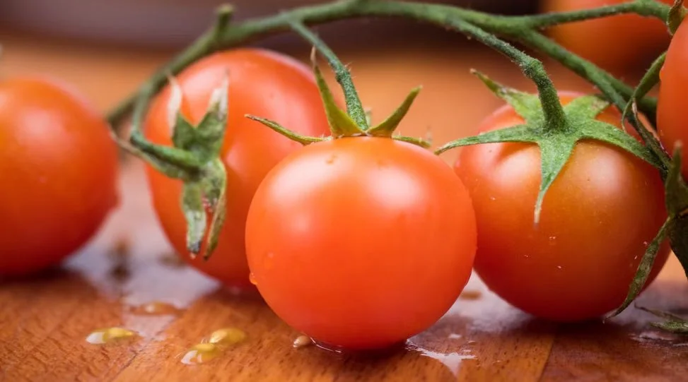 Pomodoro Pachino