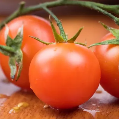 Pomodoro Pachino
