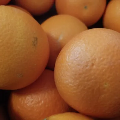 Ribera PDO Orange