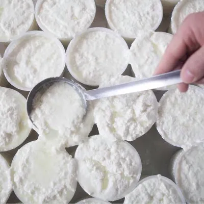 Ricotta