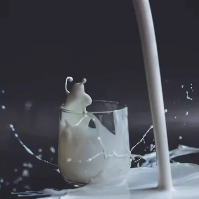 Rosolio di latte