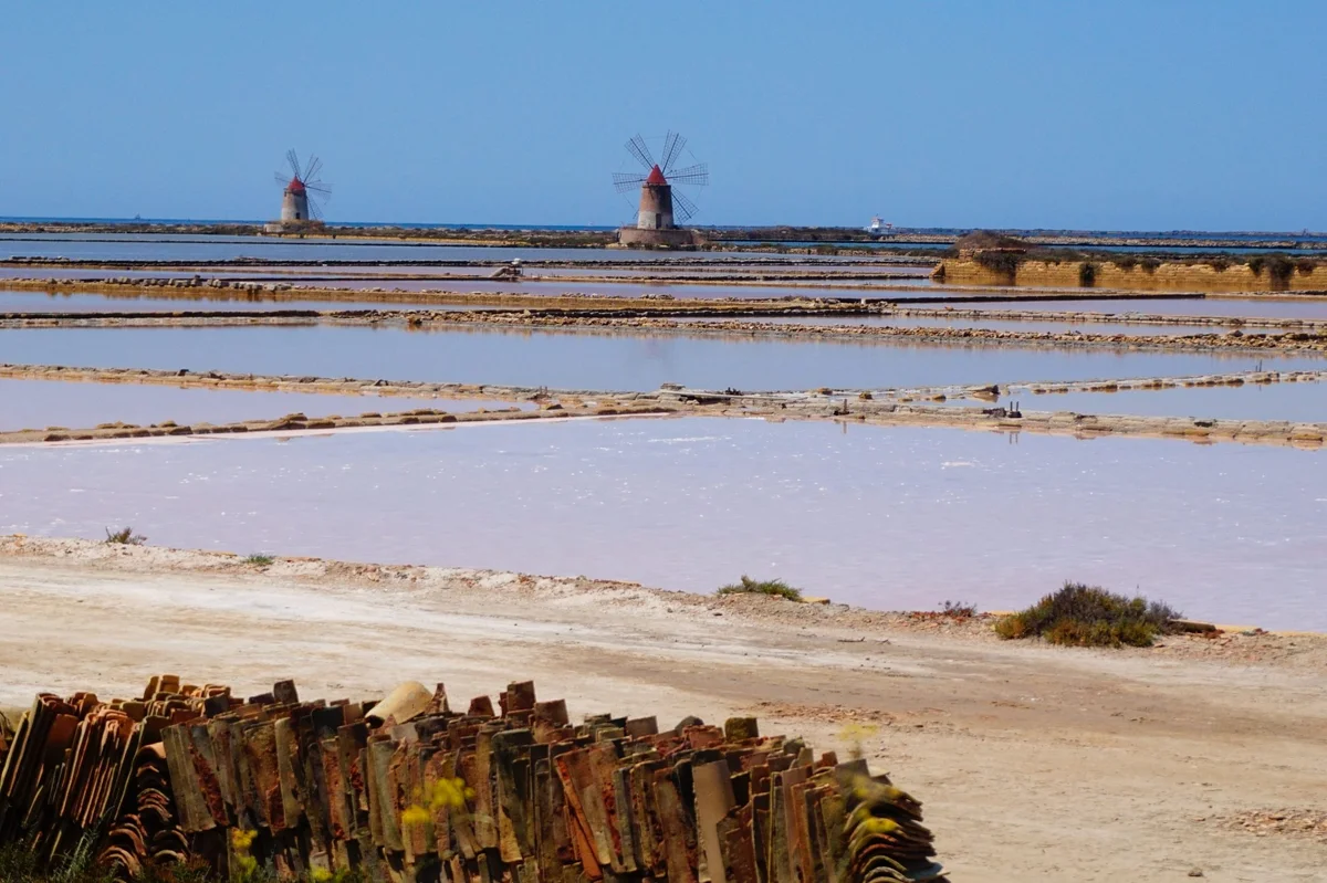 Sale marino di Trapani