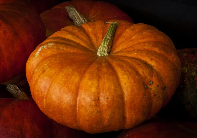 Zucca gialla