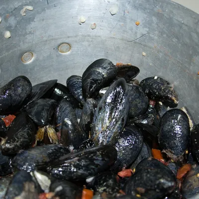 Zuppa di cozze siciliana